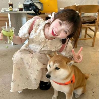 路人女主的养成方法第二季